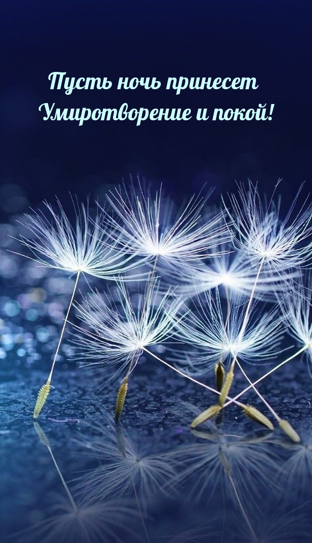      !.