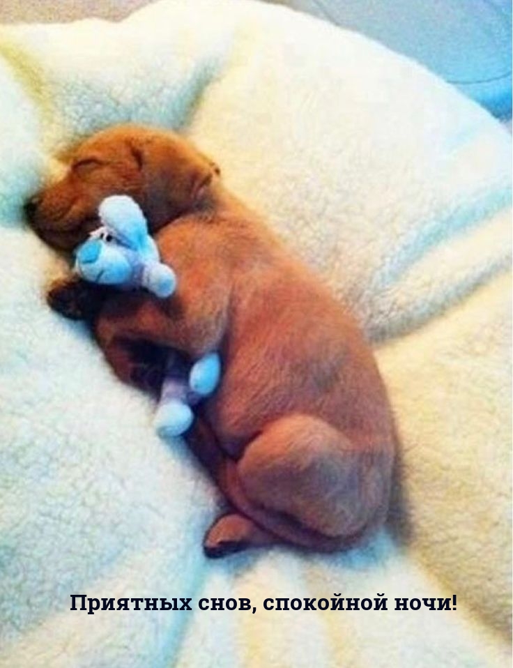 �������� � ��������: �������� ����, ��������� ����!