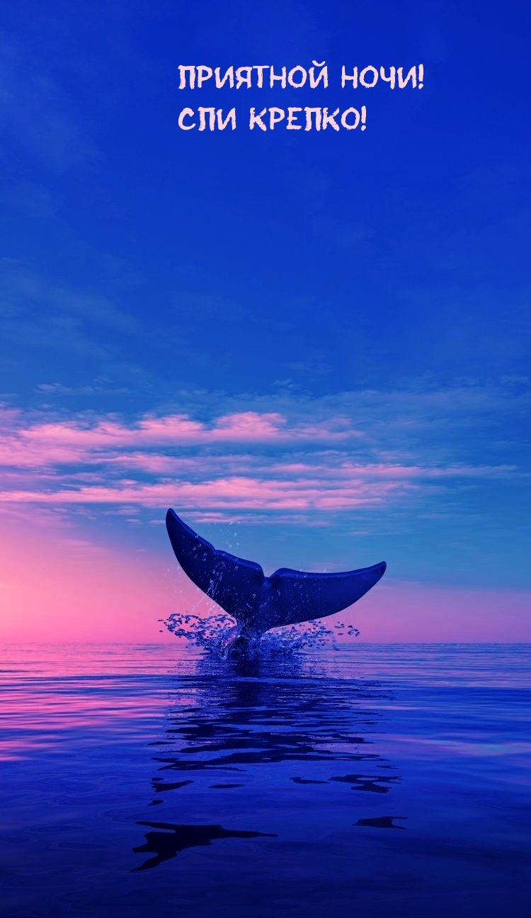  !  !