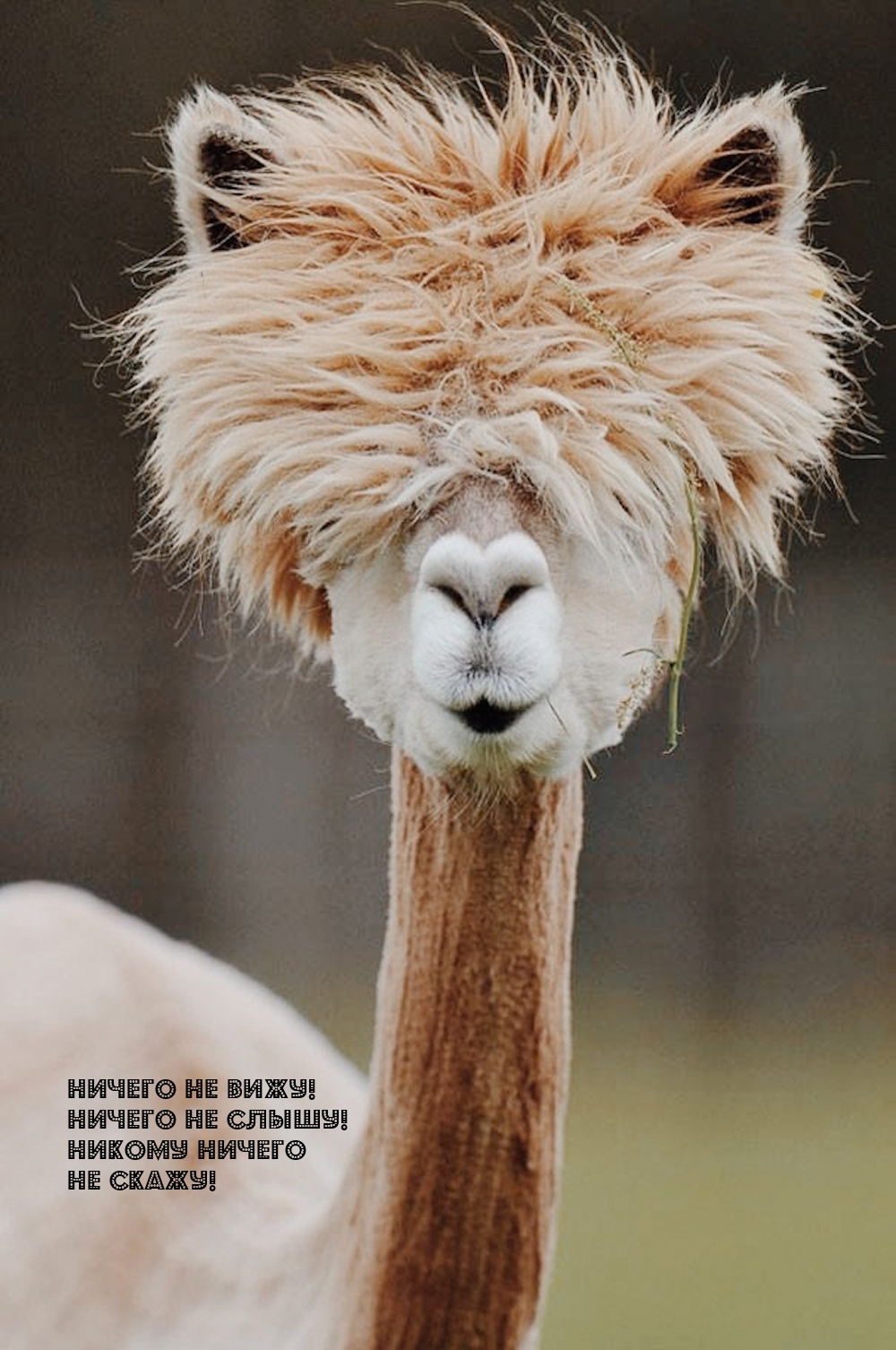 �������� � ��������: ������ �� ����! ������ �� �����! ������ ������ �� �����!