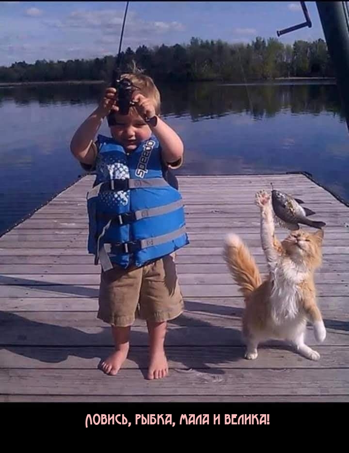 , ,   !.