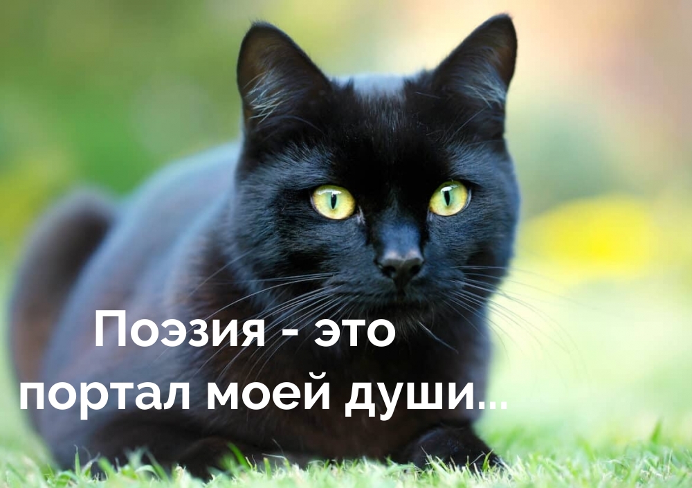 �������� � ��������: ������ - ��� ������ ���� ����...