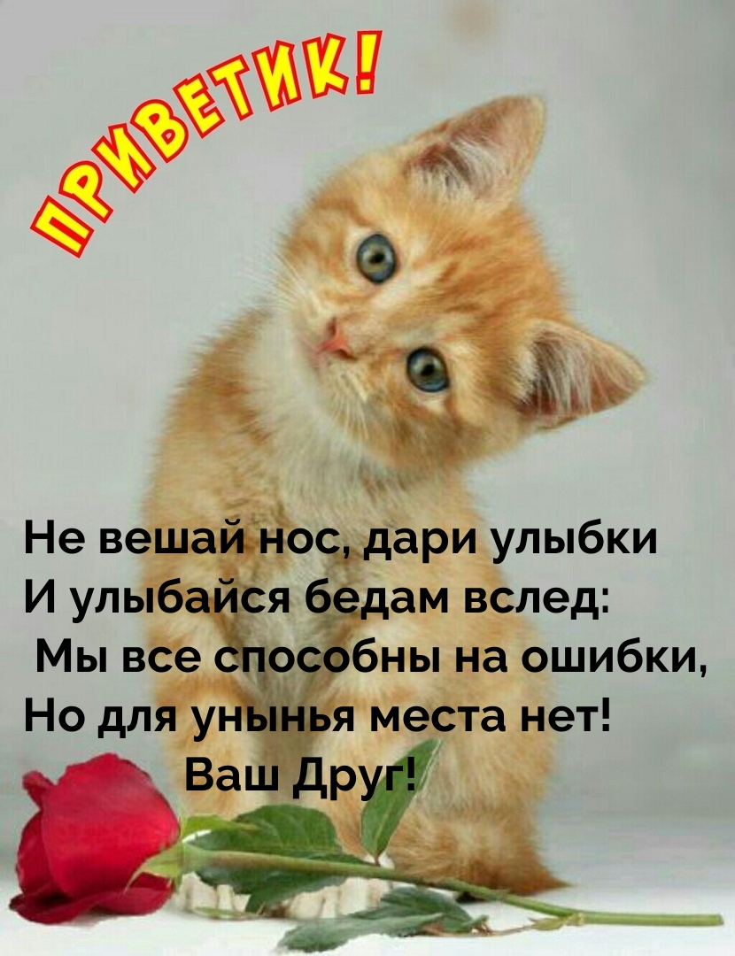 �������� � ��������: ��������! �� ����� ���, ���� ������ 