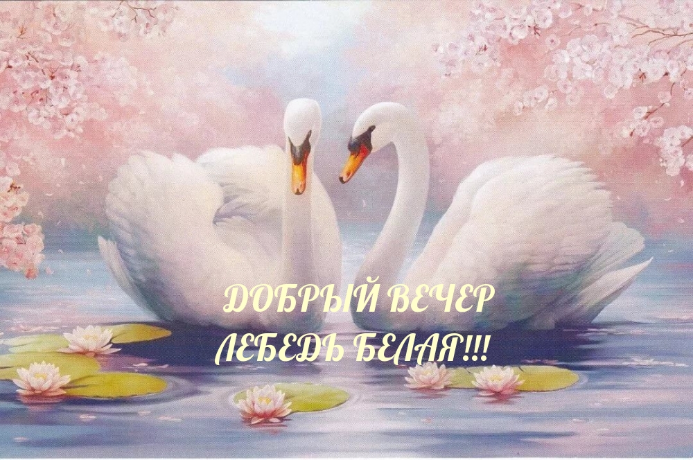    !