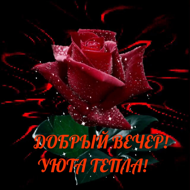  !  !.