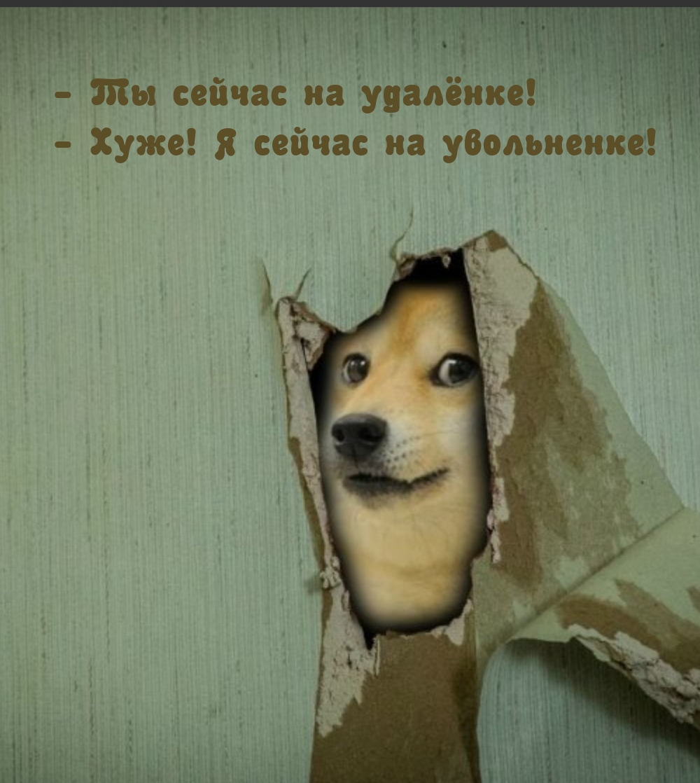 -    ! - !    !