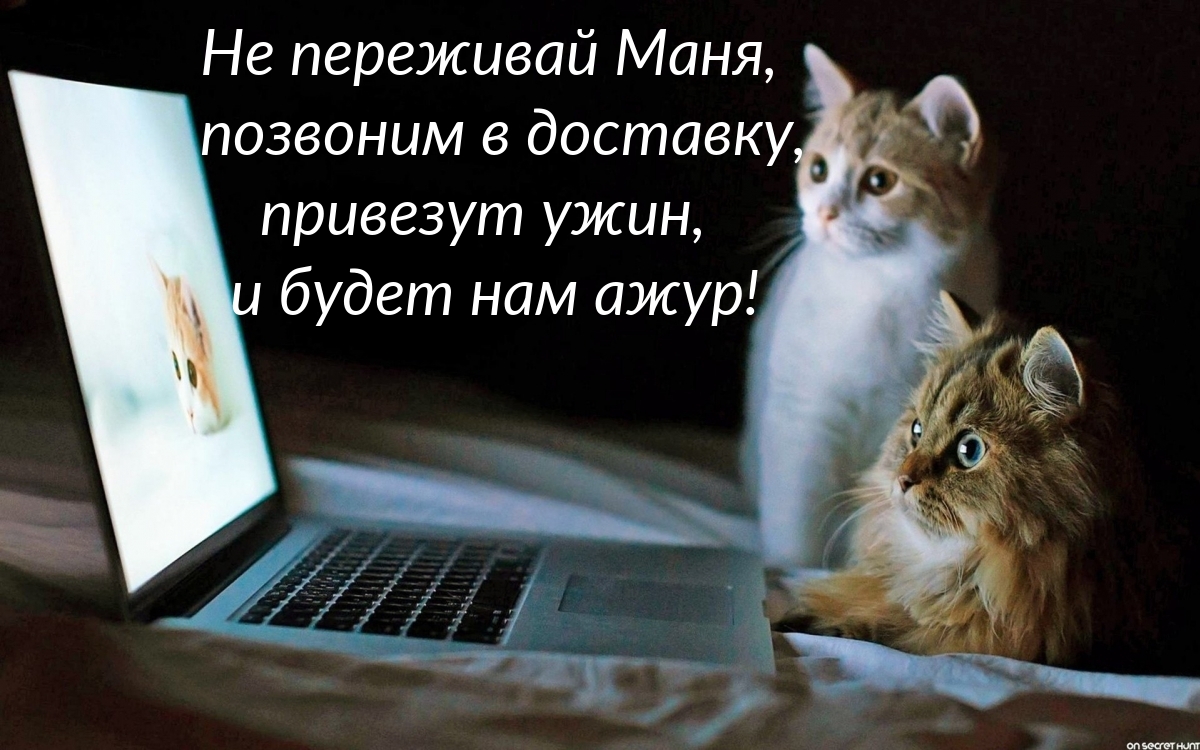   ,   ,  ,    !
