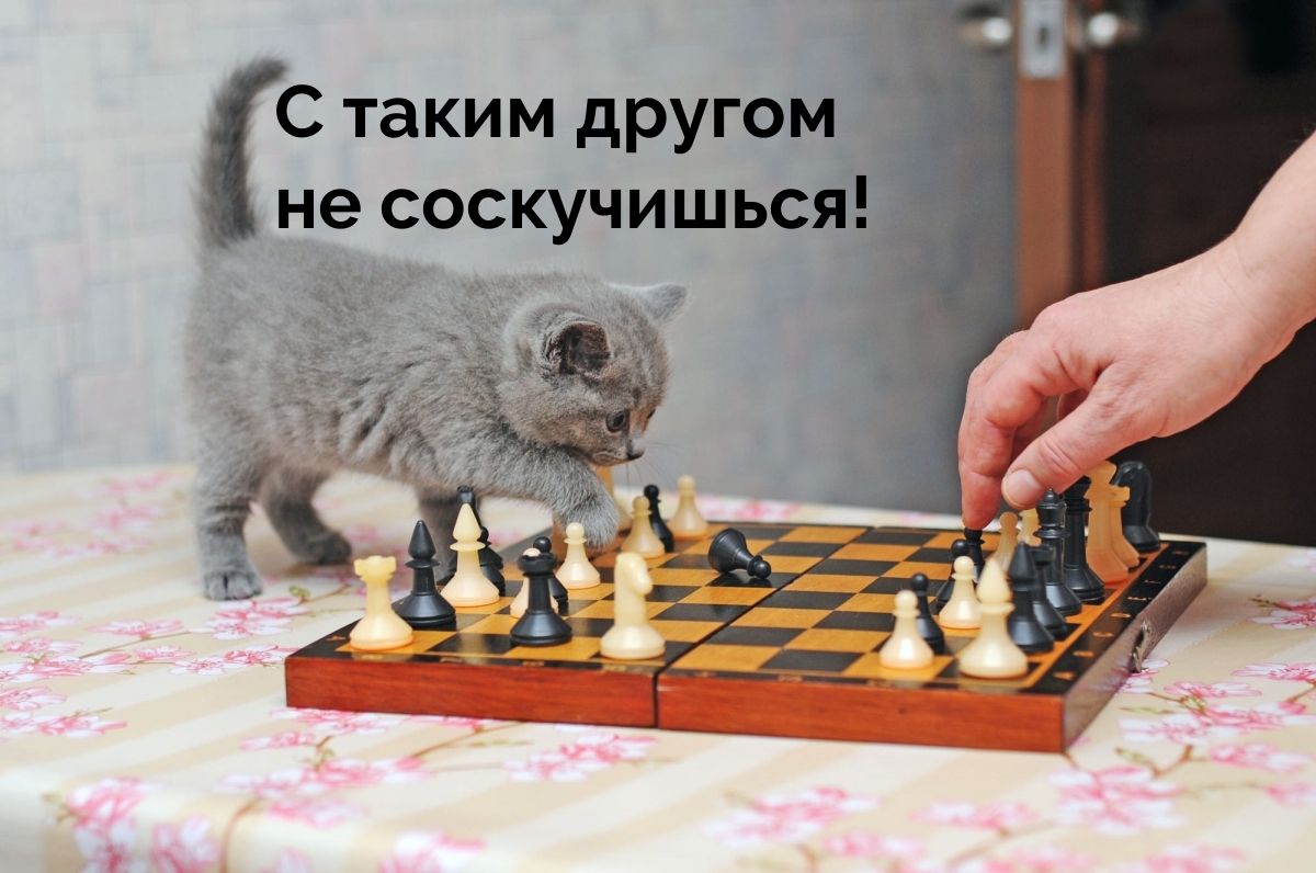   :     !