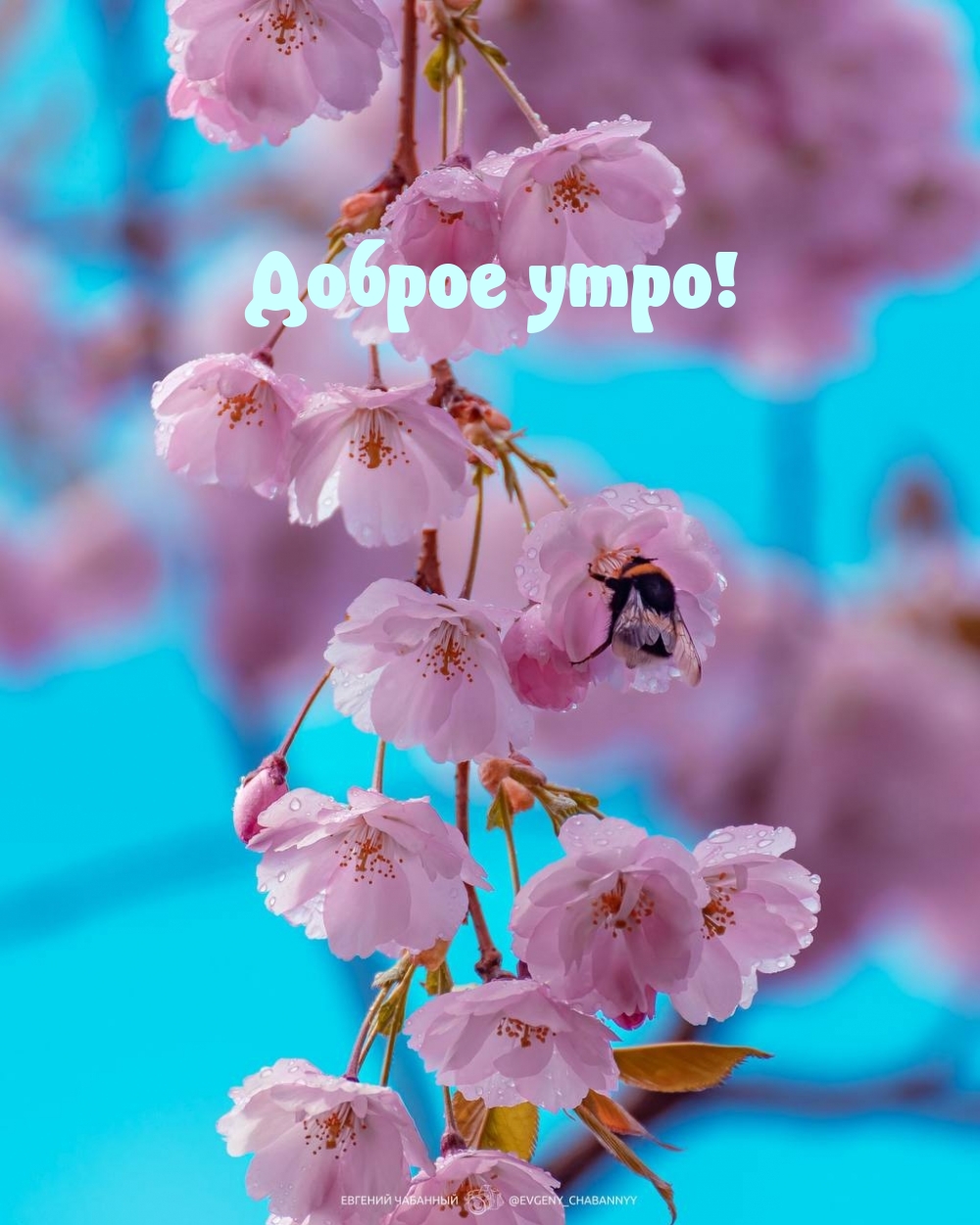   :  !