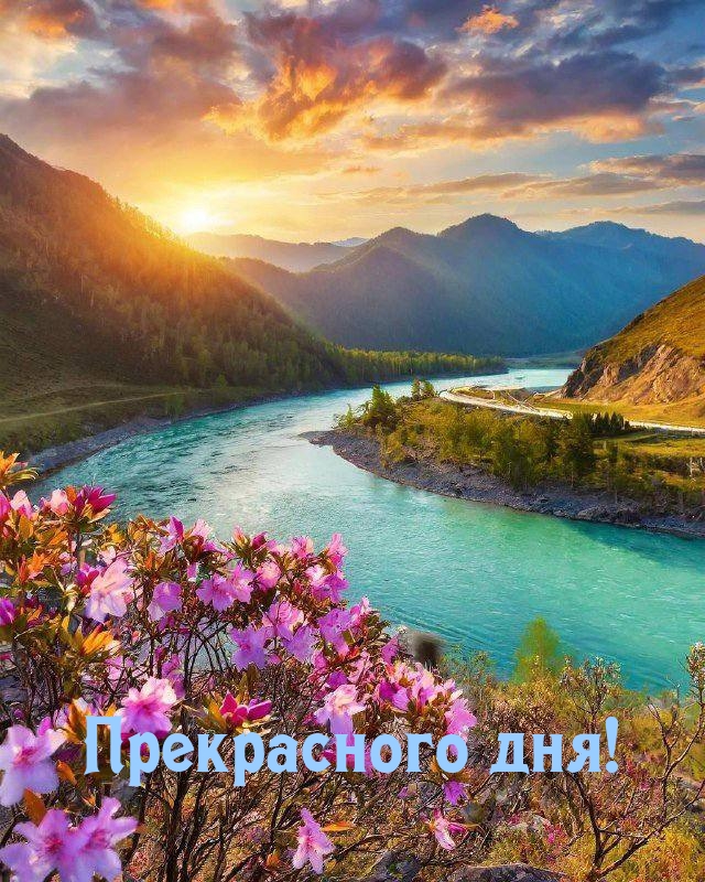  !.