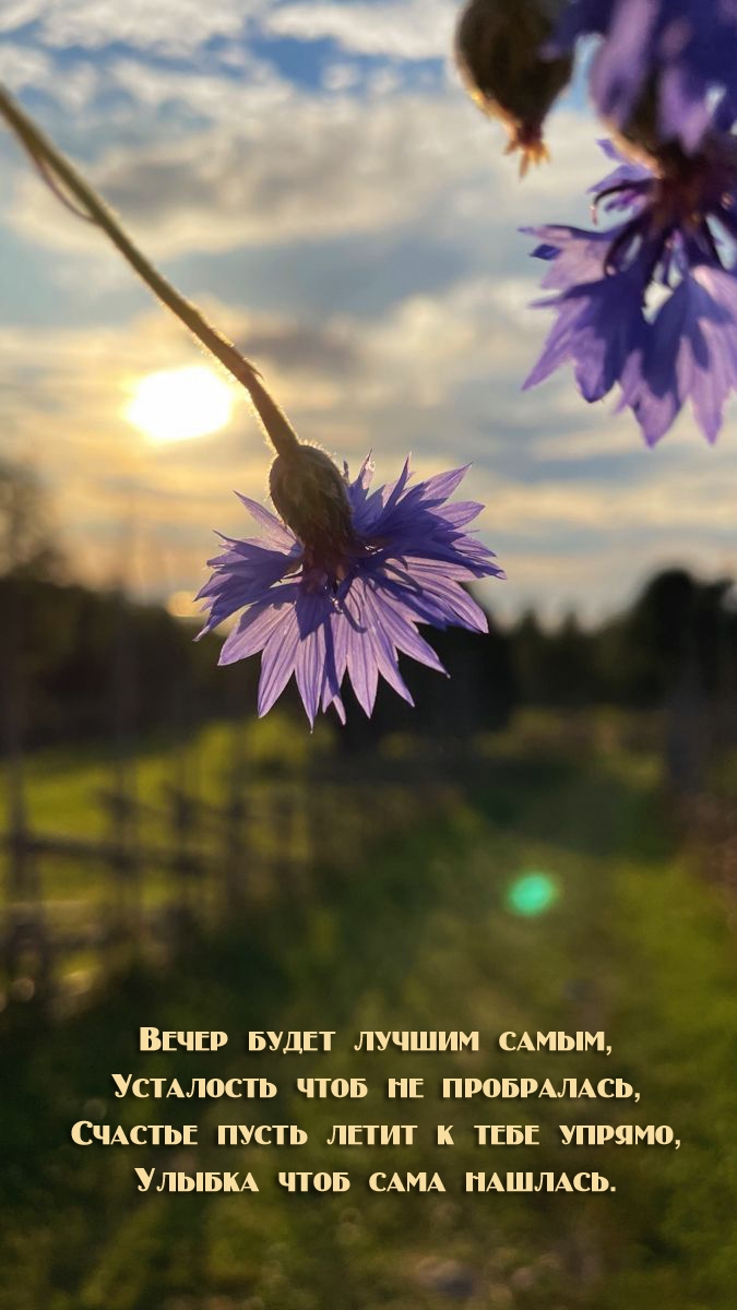 �������� � ��������: ������� ����� ����� � ���� ������, ������ ���� ���� �������.