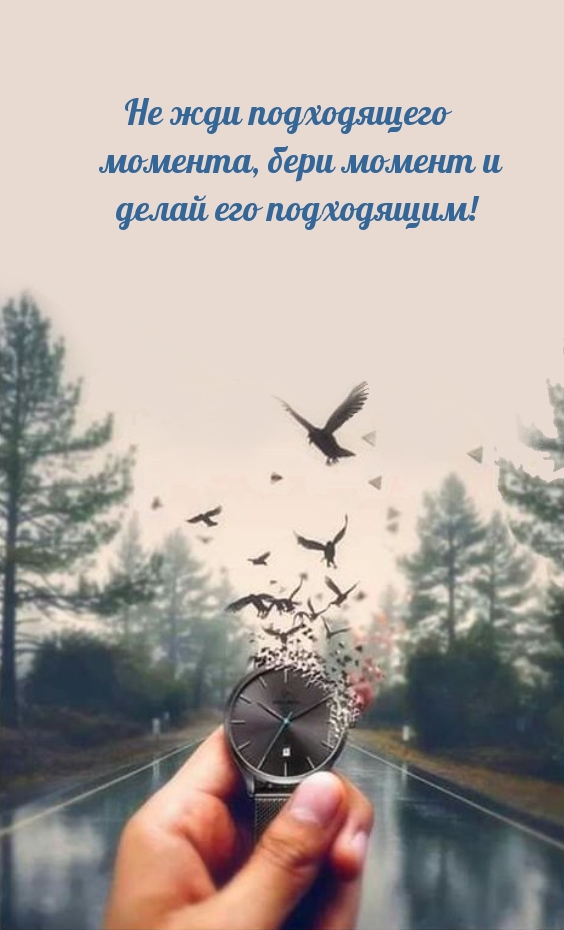   ,  .