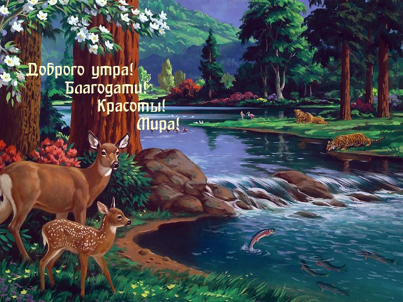  ! ! ! !                