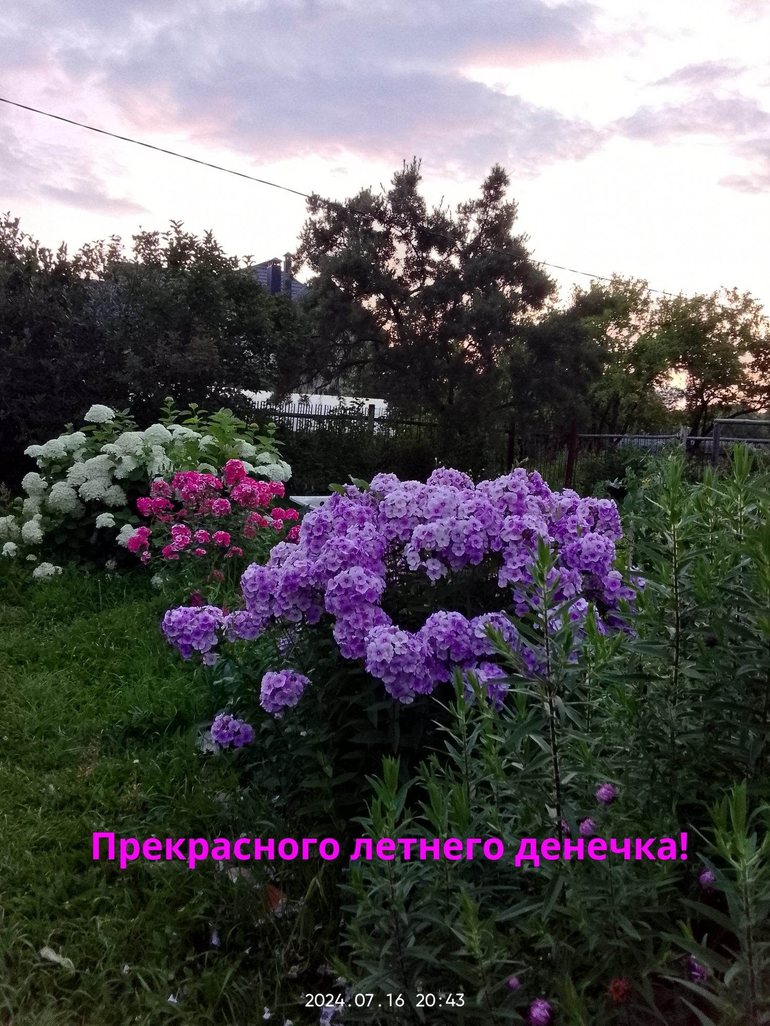   !