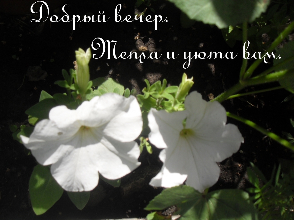 �������� � ��������: ������ �����. ����� � ���� ���.