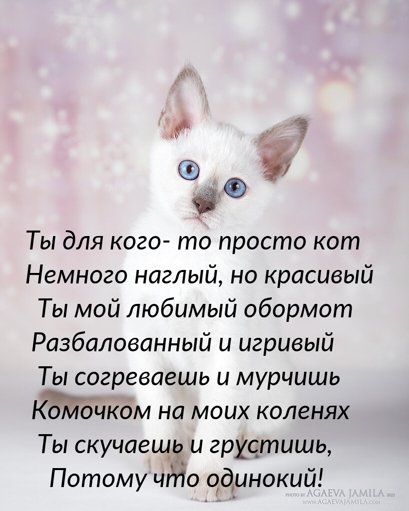 �������� � ��������: �� �������� � ��������, ������ ��� ��������!