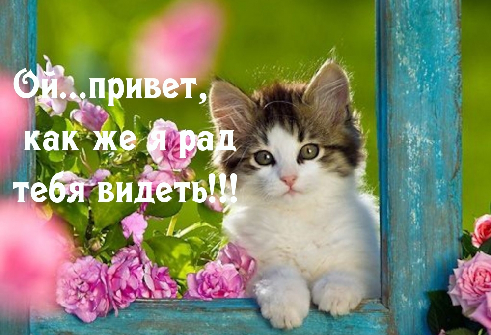   : ...,      !