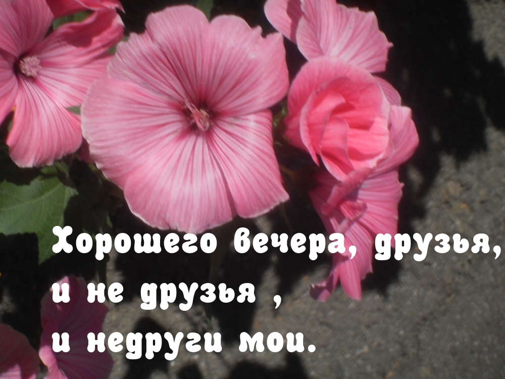   :  , ,   ,   .
