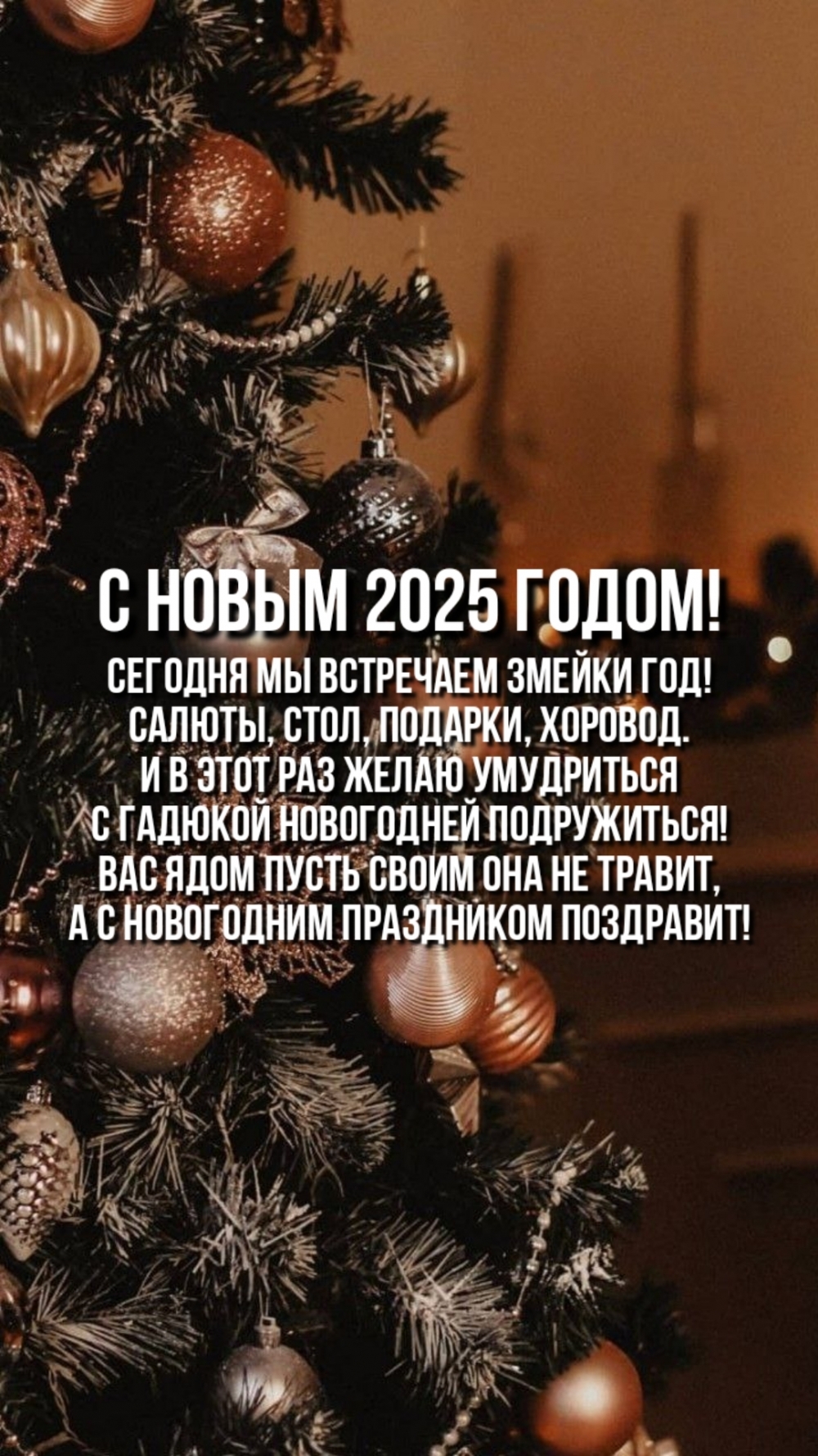   :     ! , , , .
