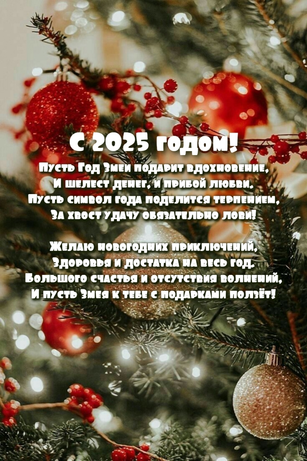  2025 !     