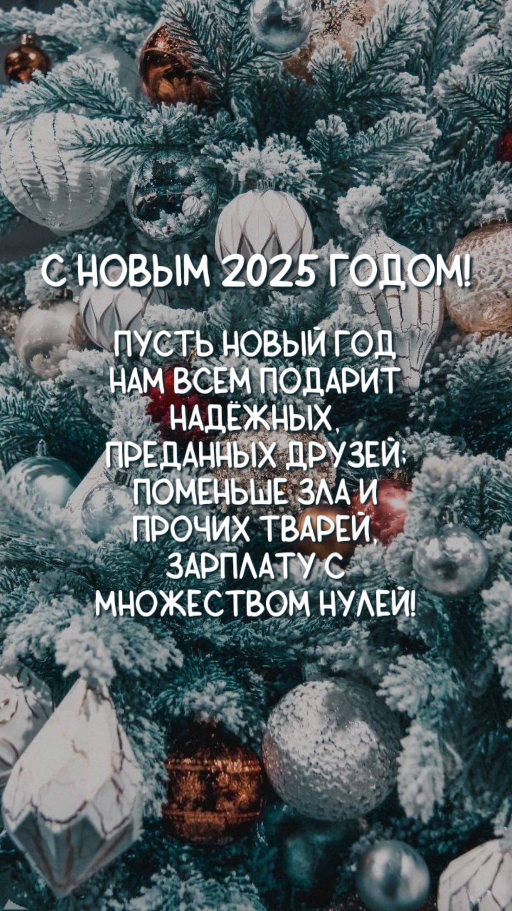   2025     ,  