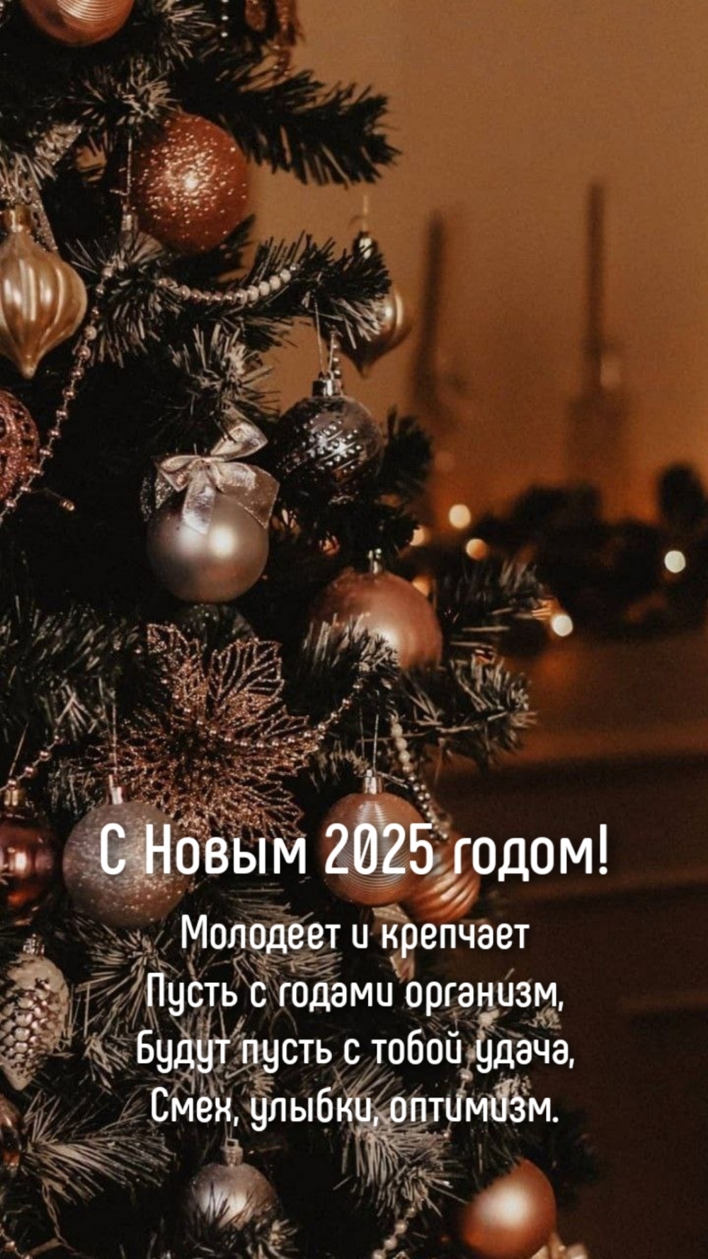   :   2025 !       
