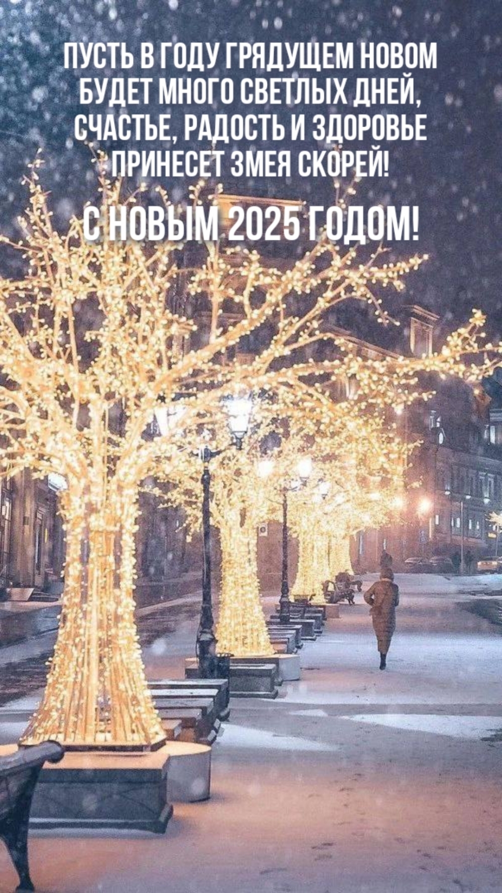   : ,      !   2025 !