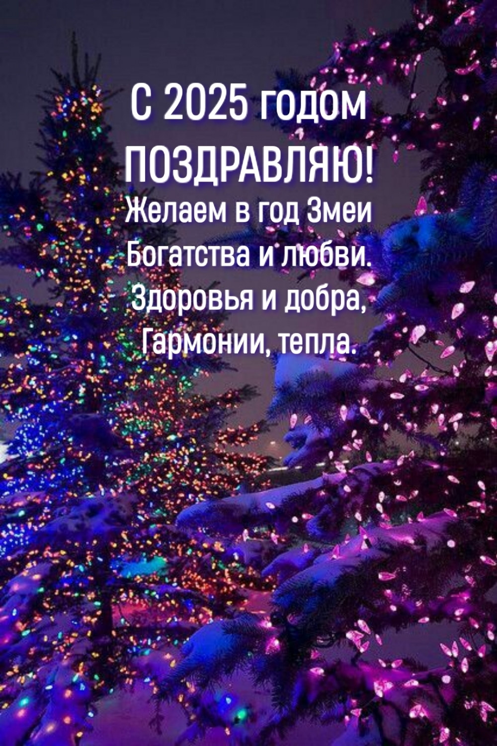 С 2025 годом поздравляю! Желаем в год Змеи богатства и любви.