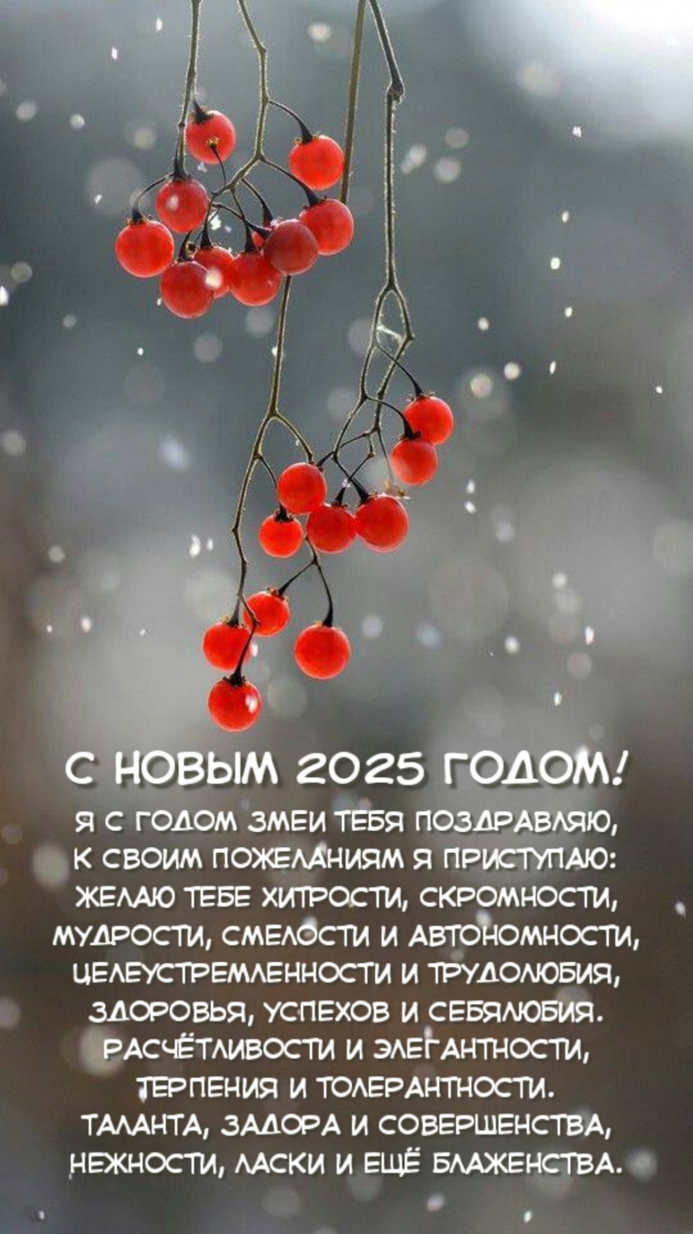   :   2025 !      