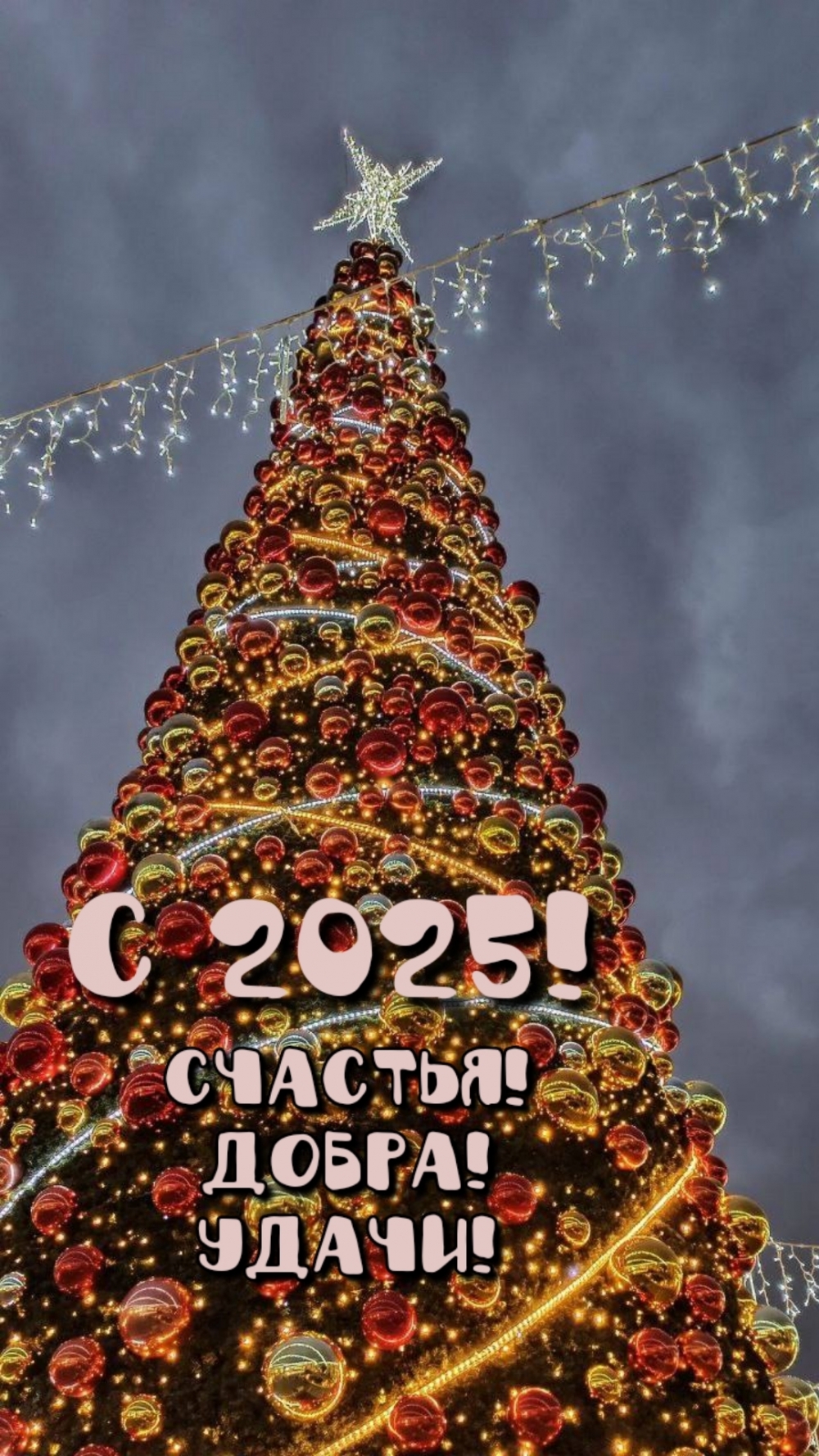 C2025! Счастья! Добра! Удачи!