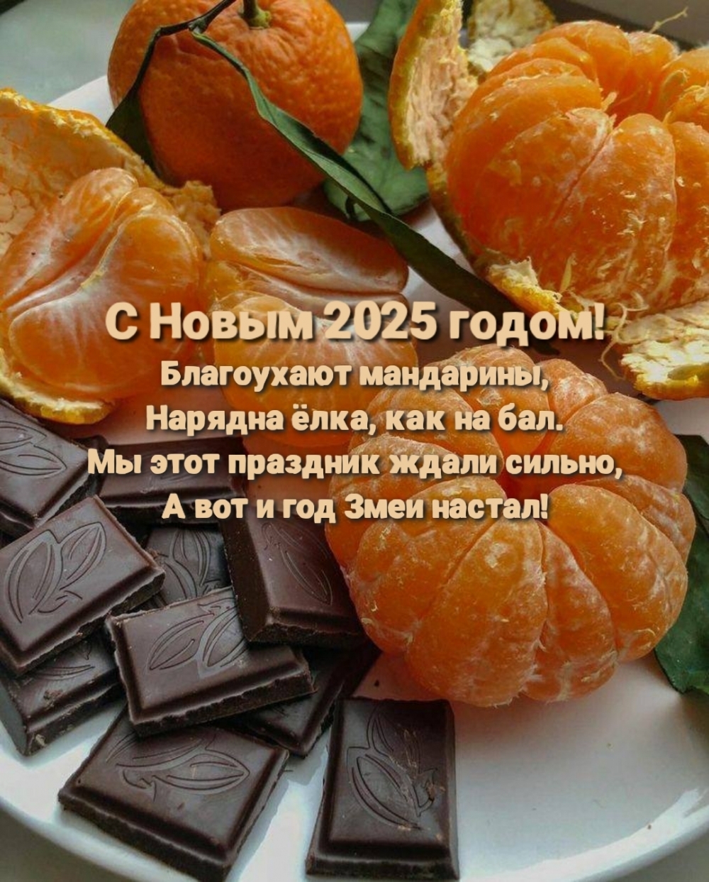   2025!  ,  ,   .