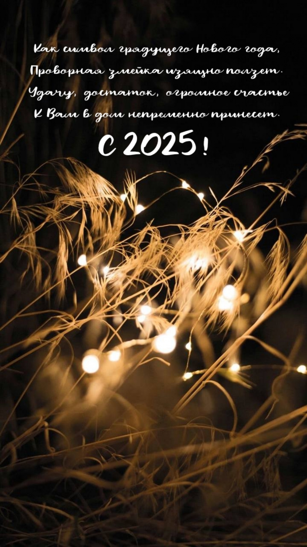 Удачу, достаток, счастье к Вам в дом непременно принесет. С 2025!