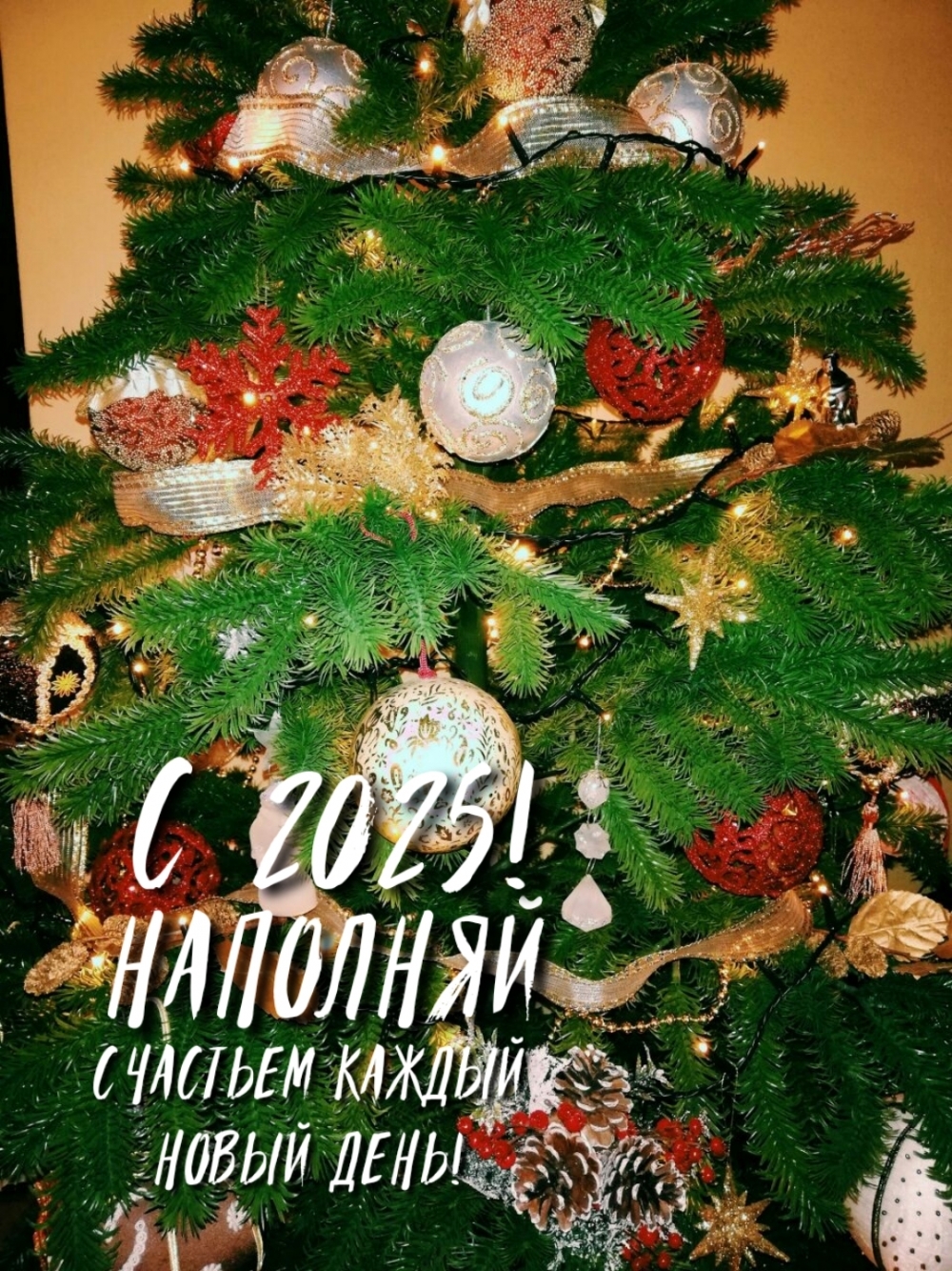     !  2025!