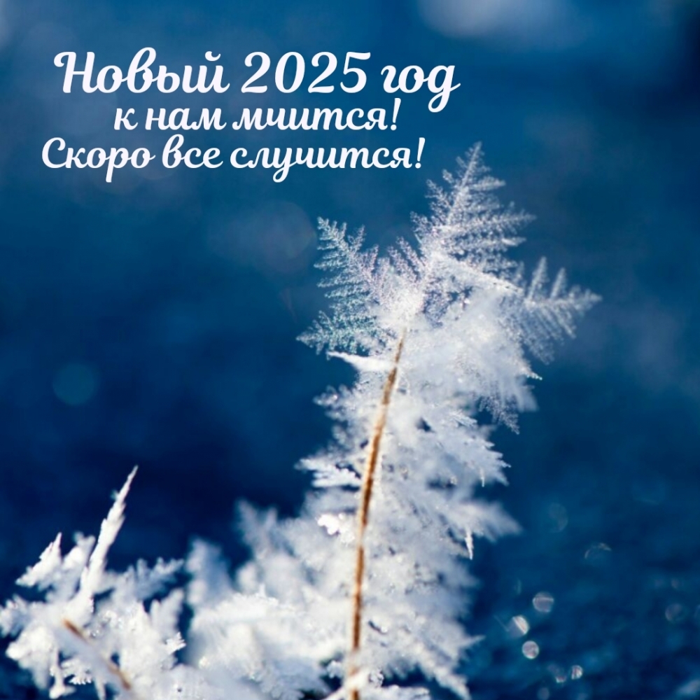  2025    !   !