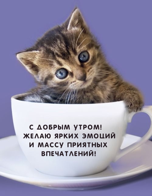   :   !      !