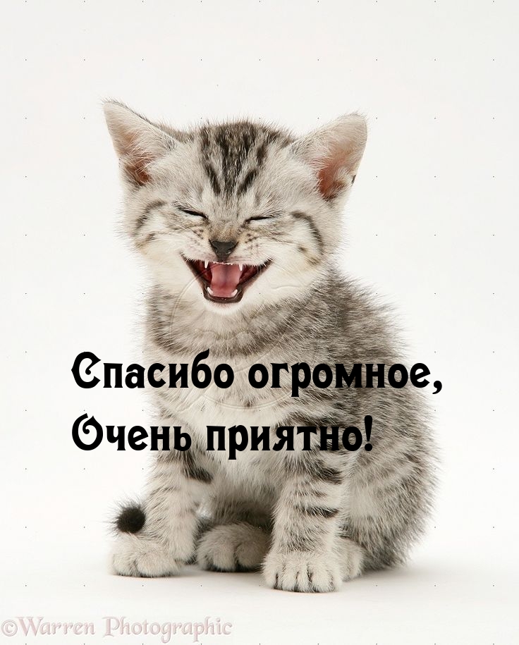   :  ,  !