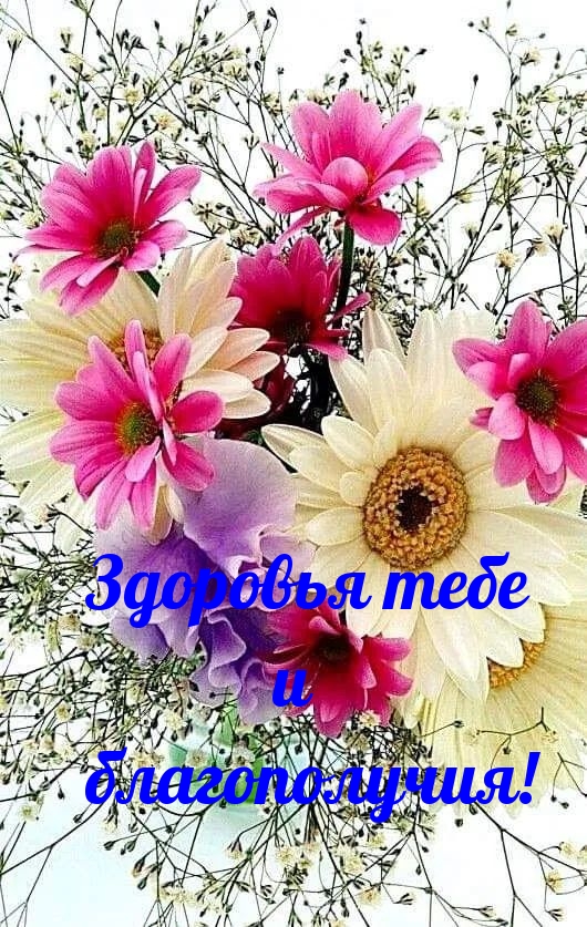 �������� � ��������: �������� ���� � ������������!