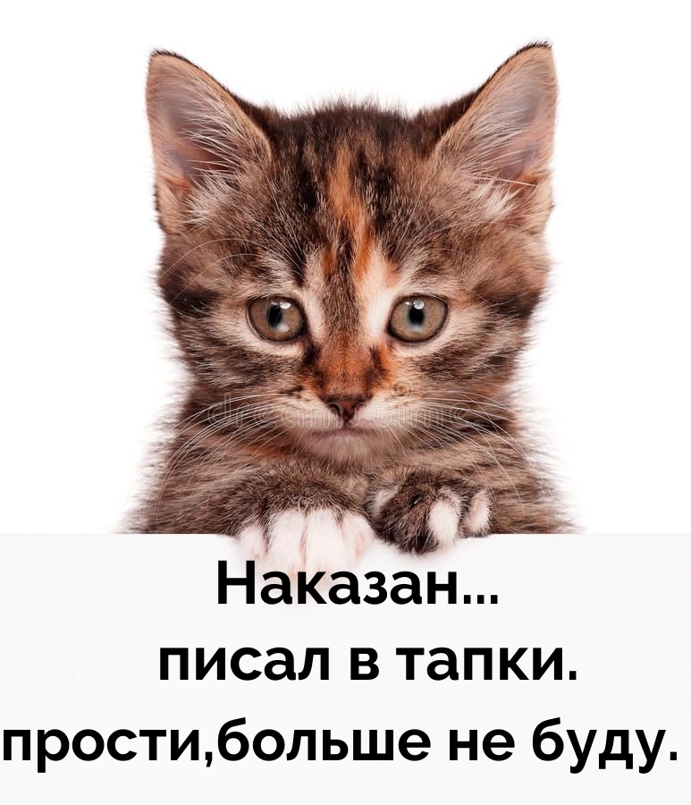 ...   . ,   .