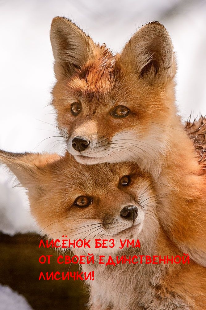   :       !