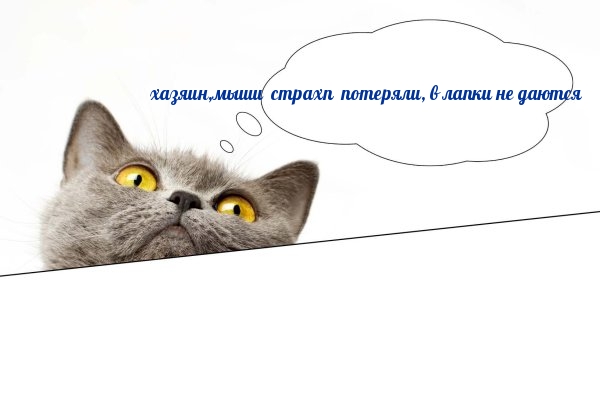 ,  ,    .