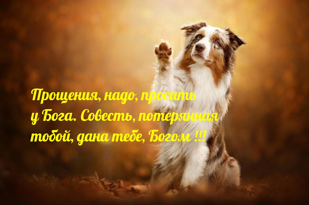 , ,   . ,  ,  , 