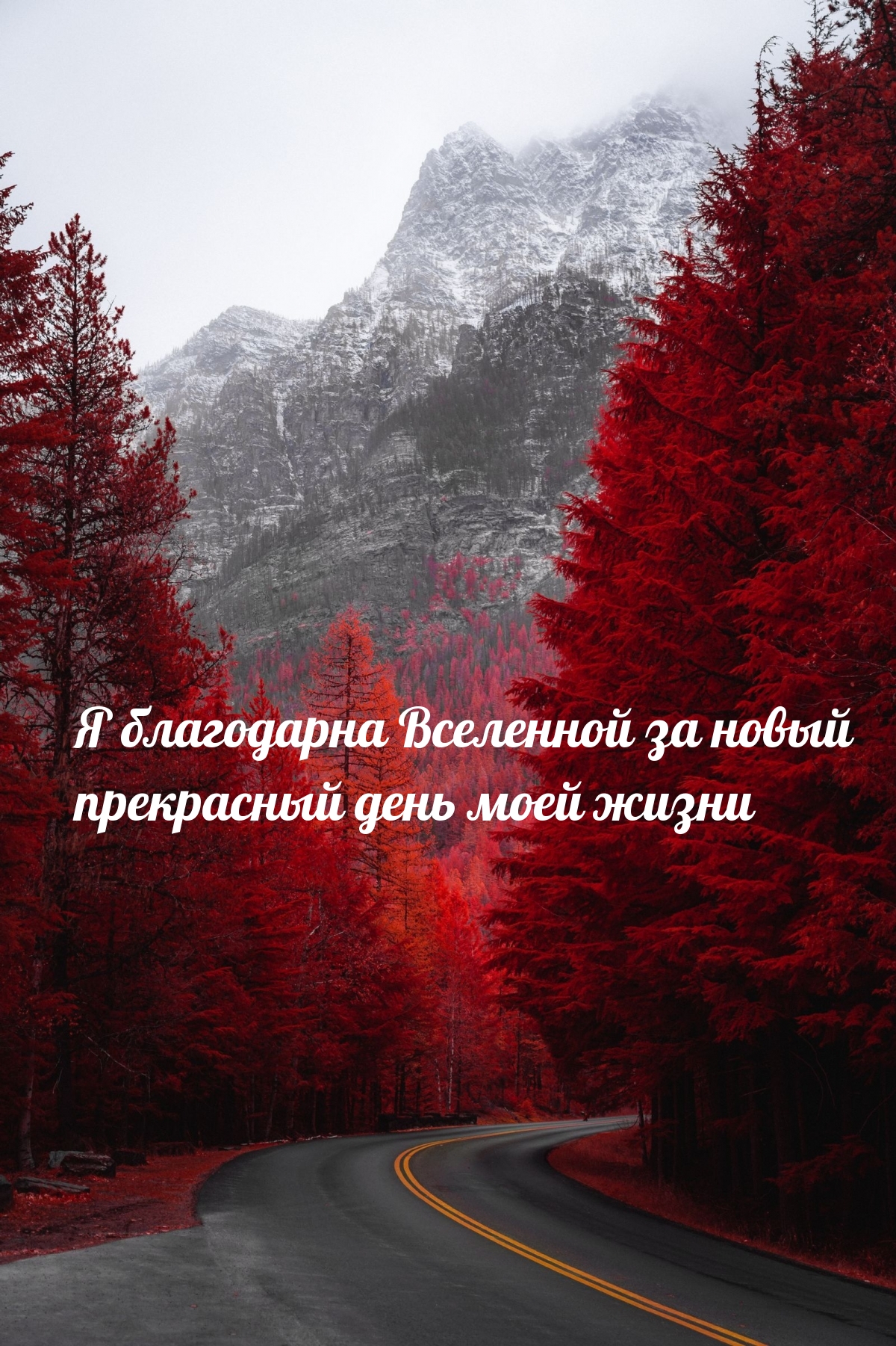   :         