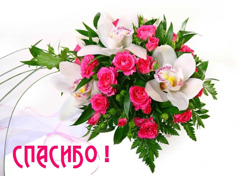 �������� � ��������� �������!