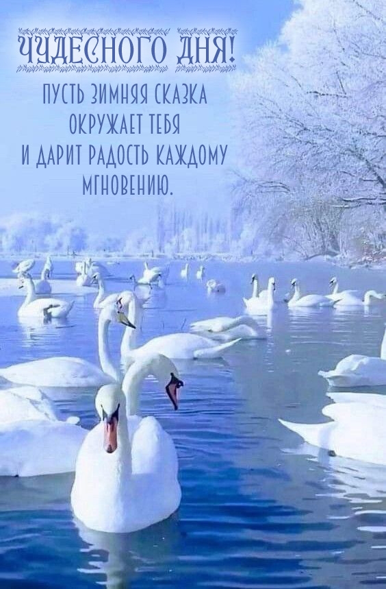 ����� ������ ������ �������� ���� � ����� �������.