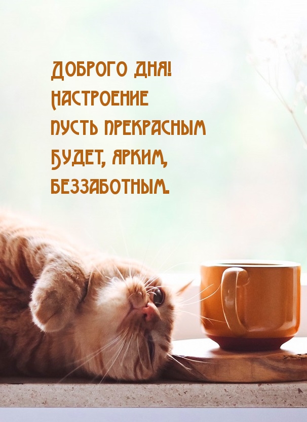  !     .