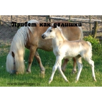 Привет, как делишки?