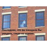 Конь в окне