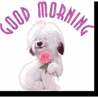 Доброе утро - фото для контакта