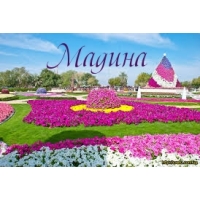Мадина