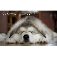 ДОБРОЕ  УТРО !